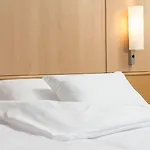 Ibis