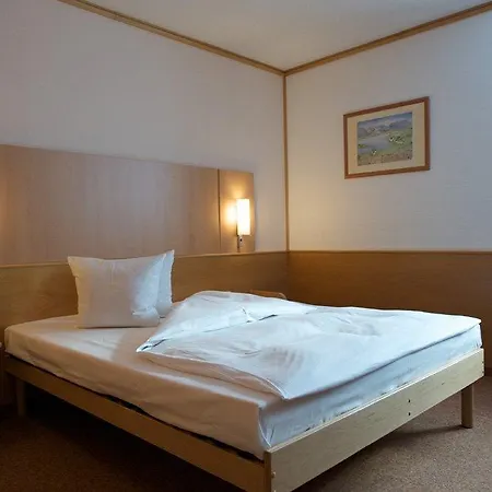 Ibis Eisenach